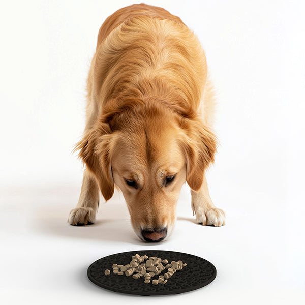 Lick Mat Coin Graphite