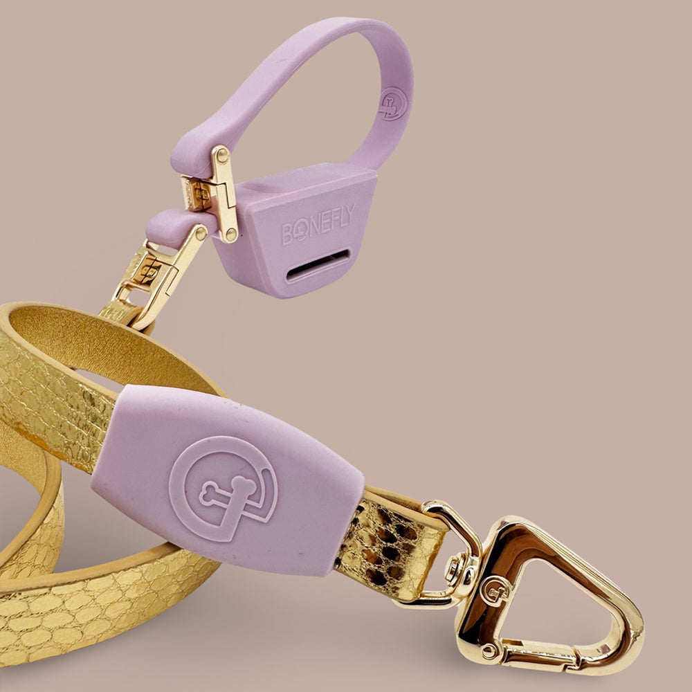 Xfly 360 Snake Leash