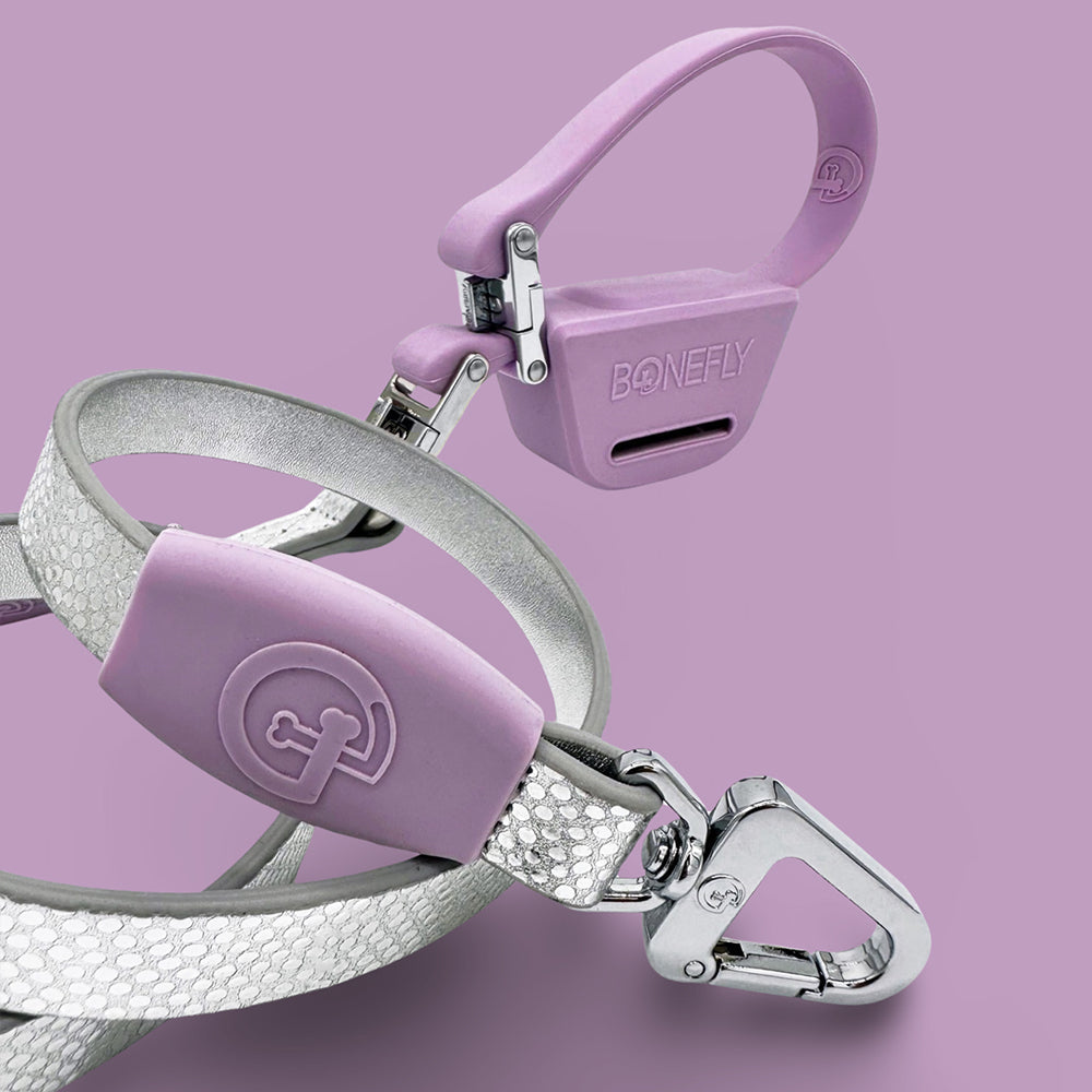 Xfly 360 Snake Leash